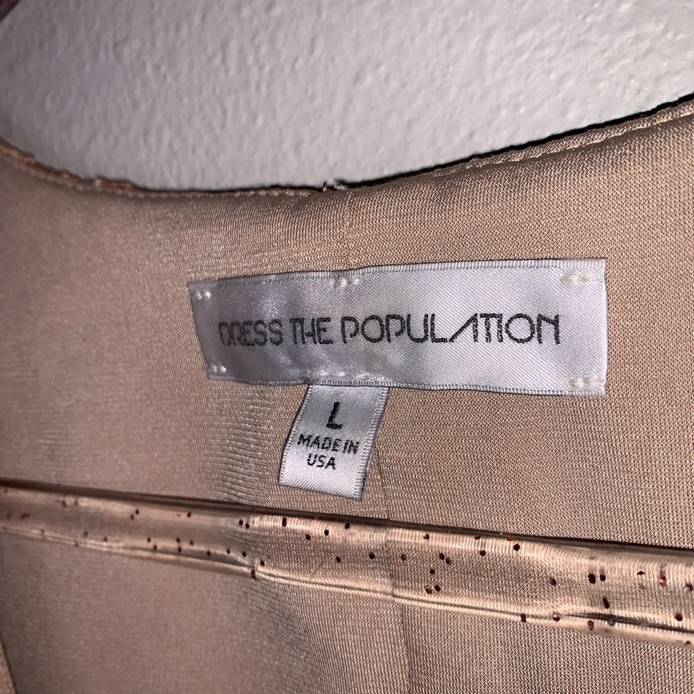 DRESS THE POPULATION | Two Piece Midi Skirt Set - Picture 13 of 16